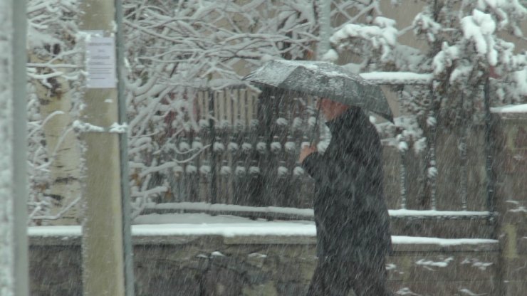 Erzurum’da Kar Hayatı Felç Etti