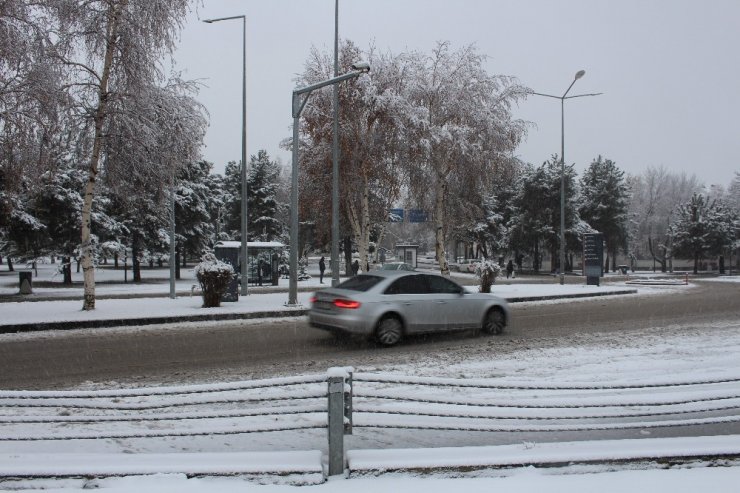 Erzurum’da Kar Hayatı Felç Etti