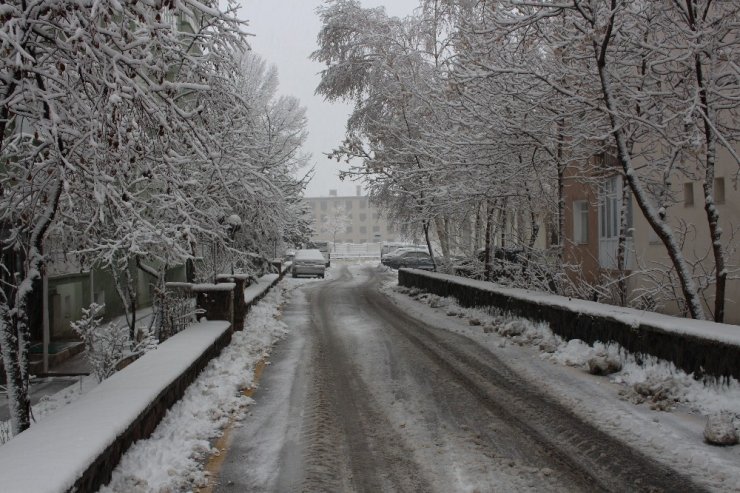 Erzurum’da Kar Hayatı Felç Etti