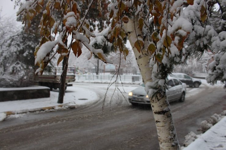 Erzurum’da Kar Hayatı Felç Etti