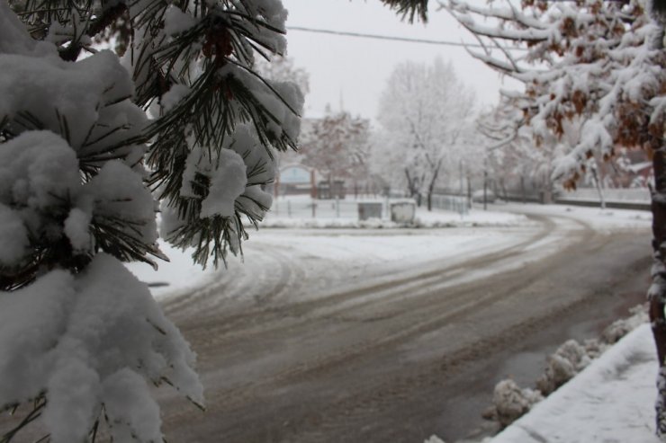 Erzurum’da Kar Hayatı Felç Etti