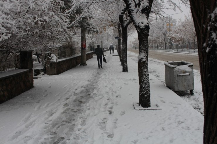 Erzurum’da Kar Hayatı Felç Etti