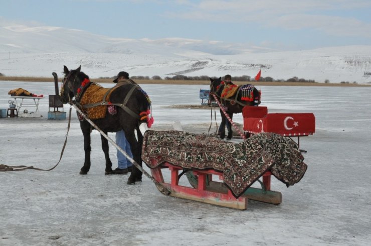 Atlı Kızaklar Çıldır Gölü’ne İndi