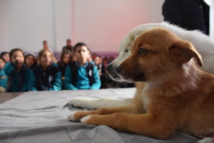 Karslı Çocuklar ve ‘Can Dostları’