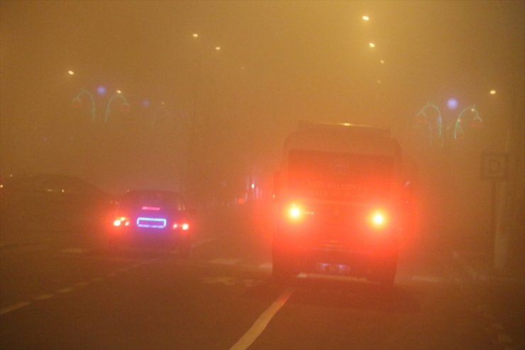 Ağrı ve Erzurum'da Yoğun Sis Etkili Oluyor