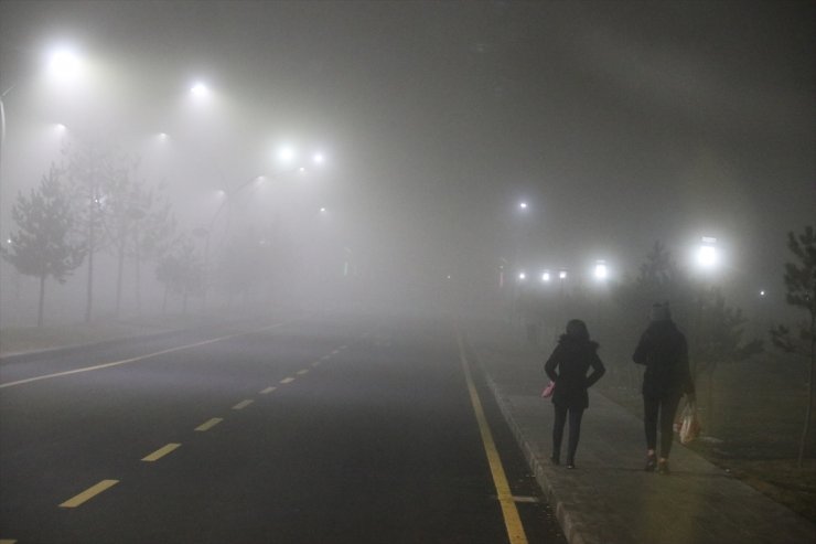 Ağrı ve Erzurum'da Yoğun Sis Etkili Oluyor