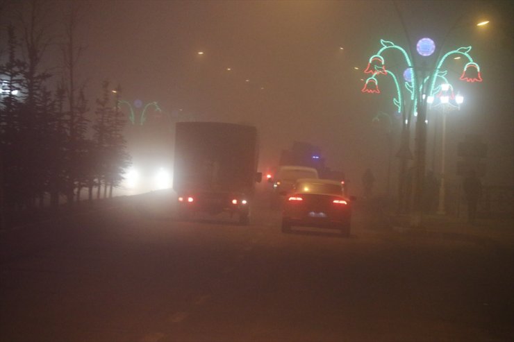 Ağrı ve Erzurum'da Yoğun Sis Etkili Oluyor