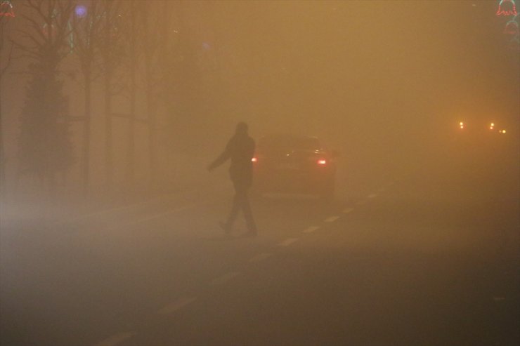 Ağrı ve Erzurum'da Yoğun Sis Etkili Oluyor