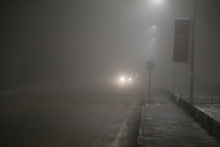 Ağrı ve Erzurum'da Yoğun Sis Etkili Oluyor