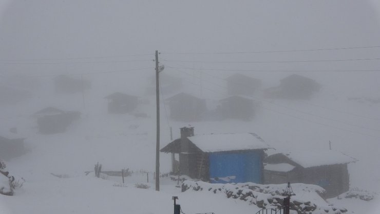 Ardahan’da Ulaşıma Kar, Tipi Ve Sis Engeli