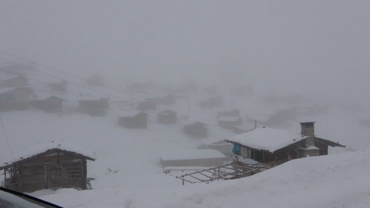 Ardahan’da Ulaşıma Kar, Tipi Ve Sis Engeli