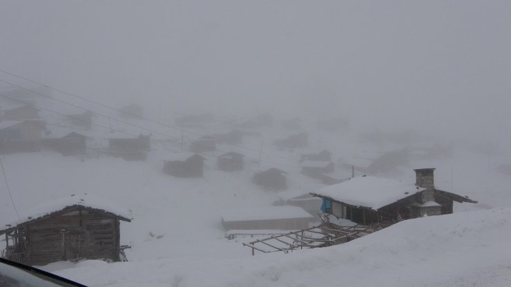 Ardahan’da Ulaşıma Kar, Tipi Ve Sis Engeli