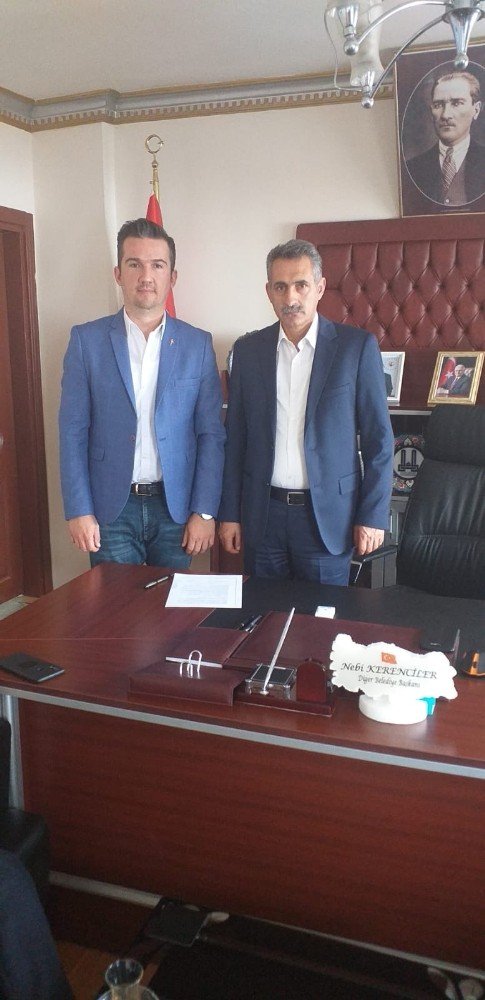 Digor’da Sahipsiz Hayvanlar Kısırlaştırılacak