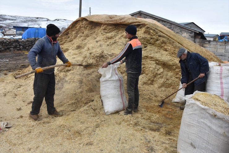 Kars'ta Baharın Müjdecisi Oğlak ve Kuzular