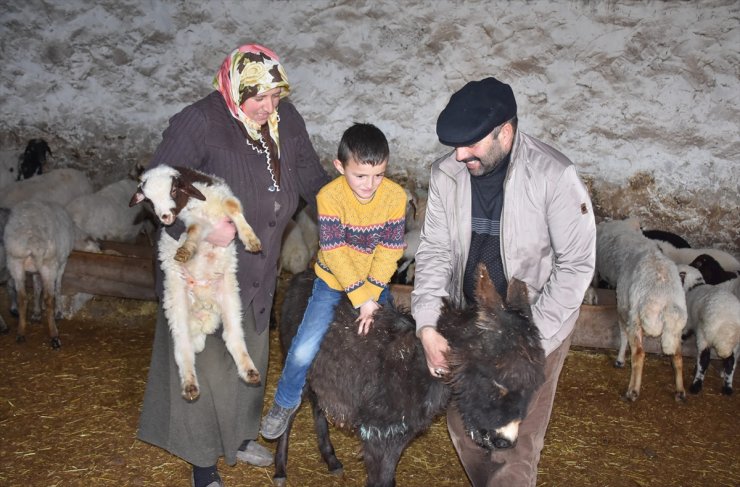 Kars'ta Baharın Müjdecisi Oğlak ve Kuzular