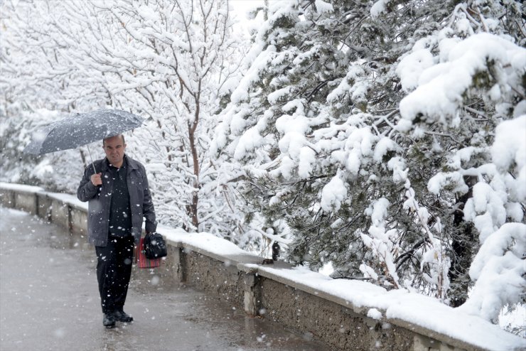 Doğu Anadolu'da Kar Yağışı Etkili Oluyor