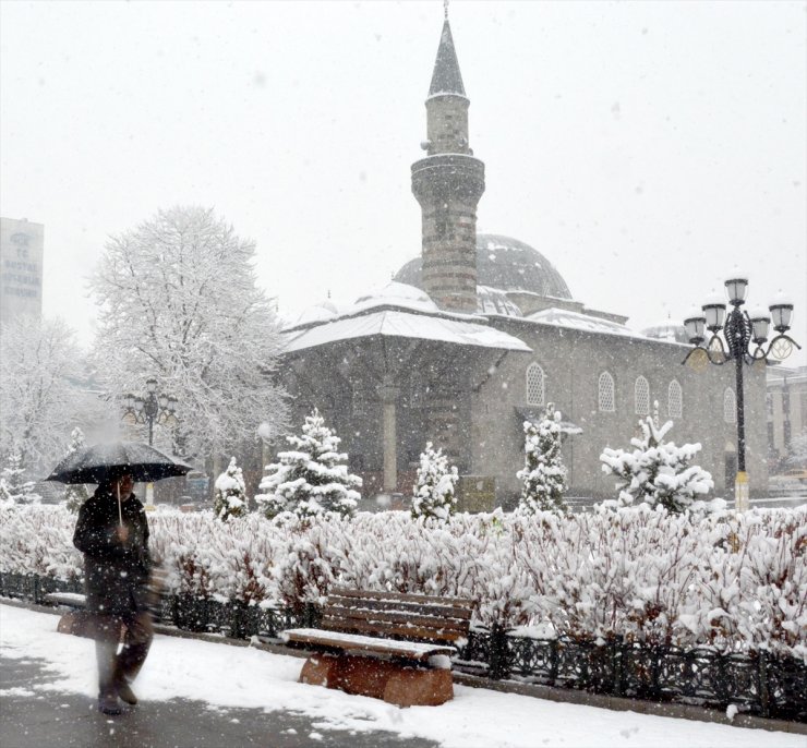 Doğu Anadolu'da Kar Yağışı Etkili Oluyor