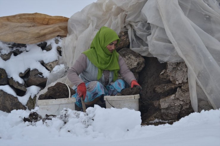 Kars ve Erzurum Beyaza Büründü