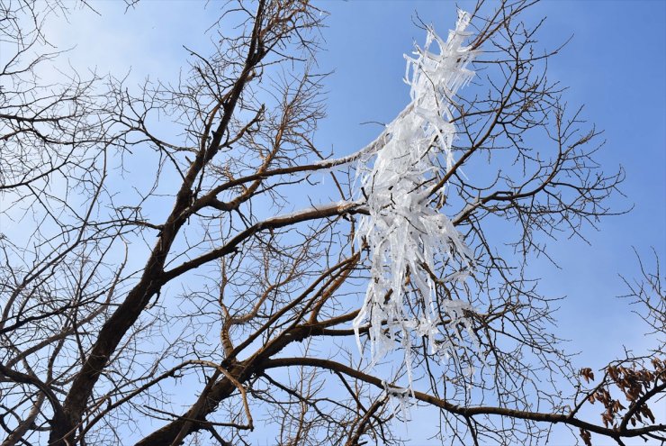 Kars'ta Ağaçların Dalları Buz Tuttu