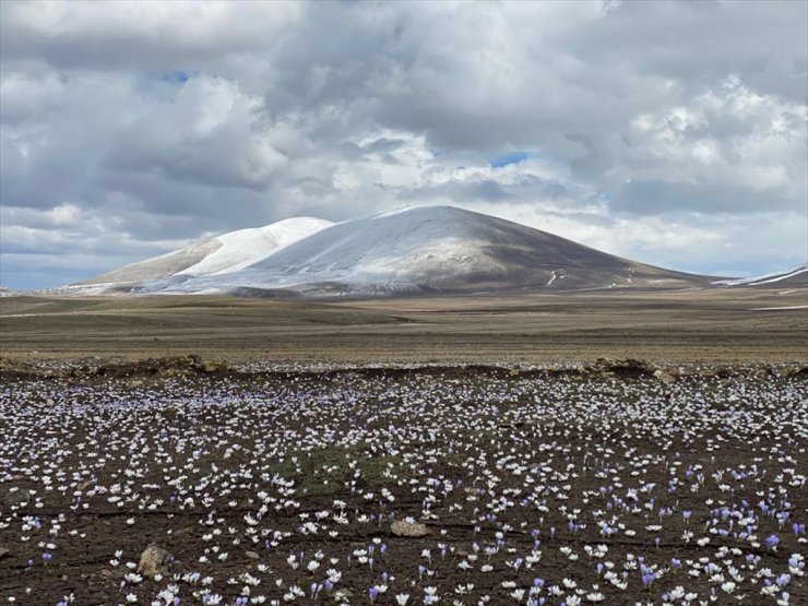 Kars'ta Doğa 