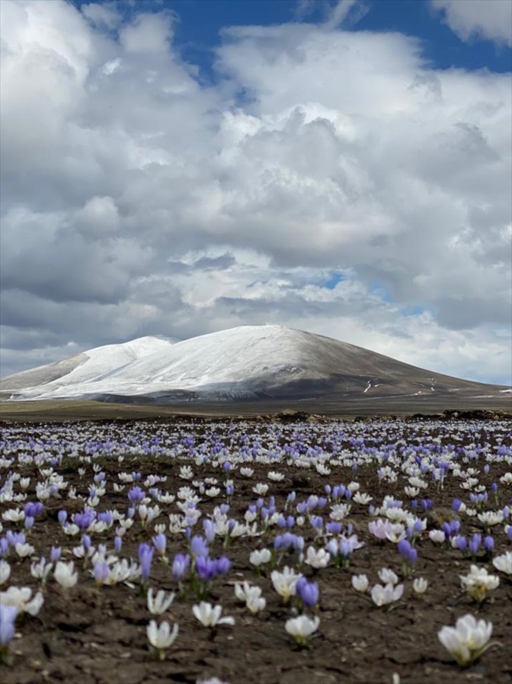 Kars'ta Doğa 