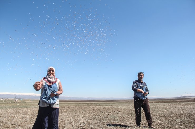 Kars'ta Tarla Sürümü ve Ekimi Başladı