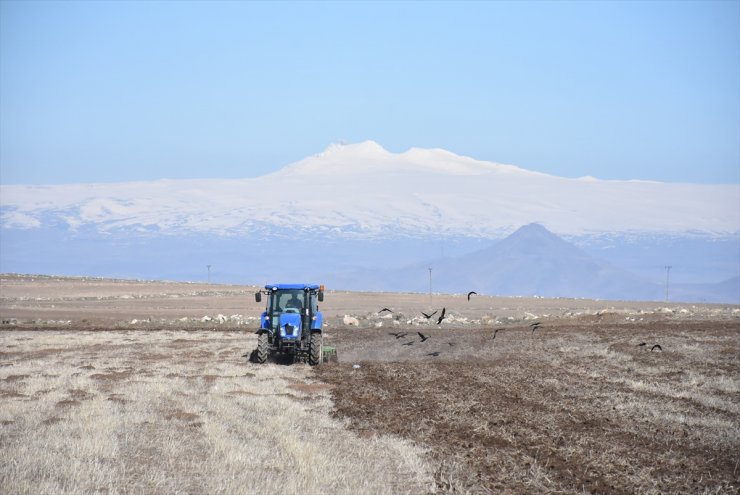 Kars'ta Tarla Sürümü ve Ekimi Başladı