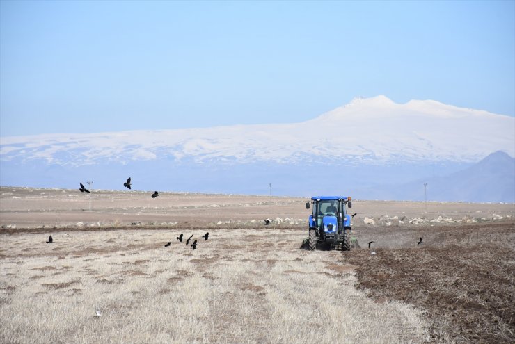 Kars'ta Tarla Sürümü ve Ekimi Başladı