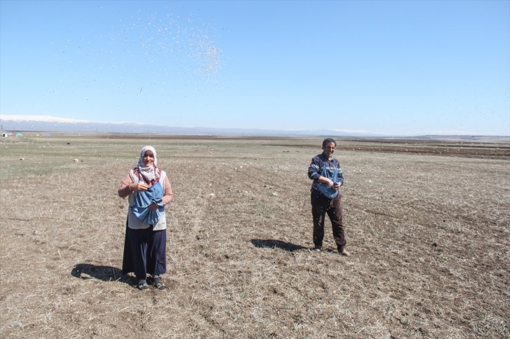 Kars'ta Tarla Sürümü ve Ekimi Başladı