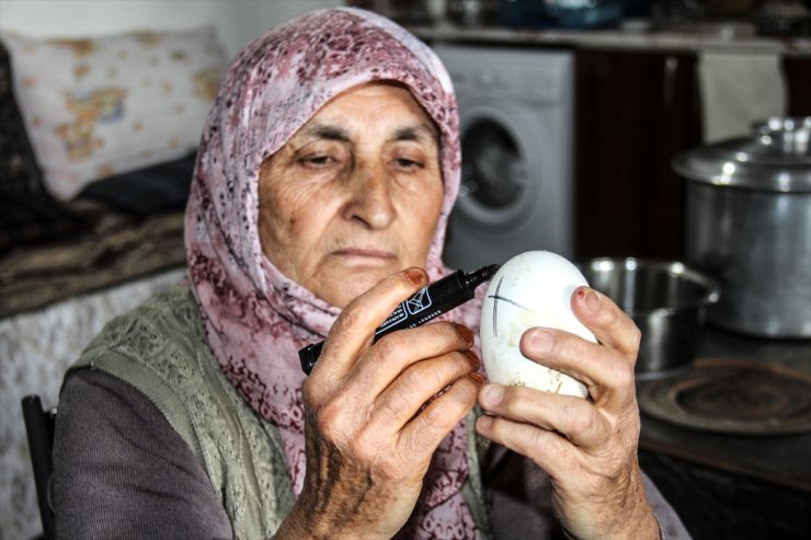 Kars'ta 'Kaz Bilikleri' Yumurtadan Çıktı