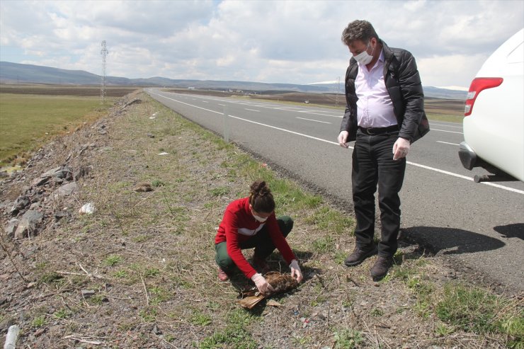 Şahin Ölümleri İncelemeye Alındı