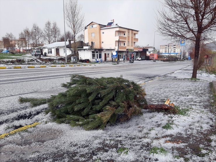 Ardahan'da Dolu Etkili Oldu