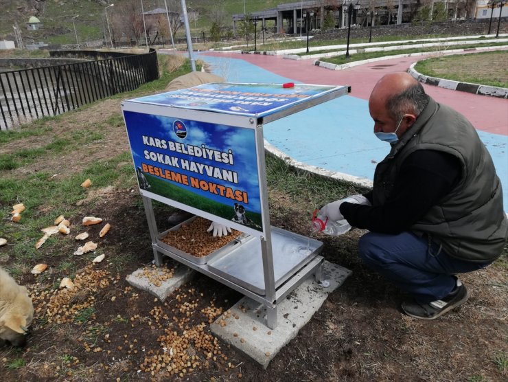 Kars'ta Sokak Hayvanları İçin Beslenme Noktası