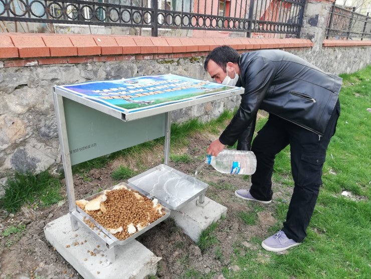 Kars'ta Sokak Hayvanları İçin Beslenme Noktası