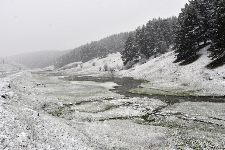 Sarıkamış'a Lapa Lapa Kar Yağdı