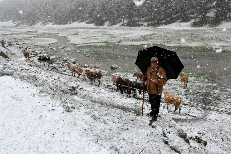 Sarıkamış'a Lapa Lapa Kar Yağdı