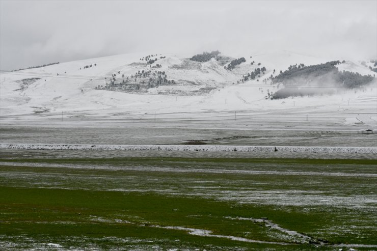 Kars Ve Erzurum Mayıs Ayında Beyaza Büründü