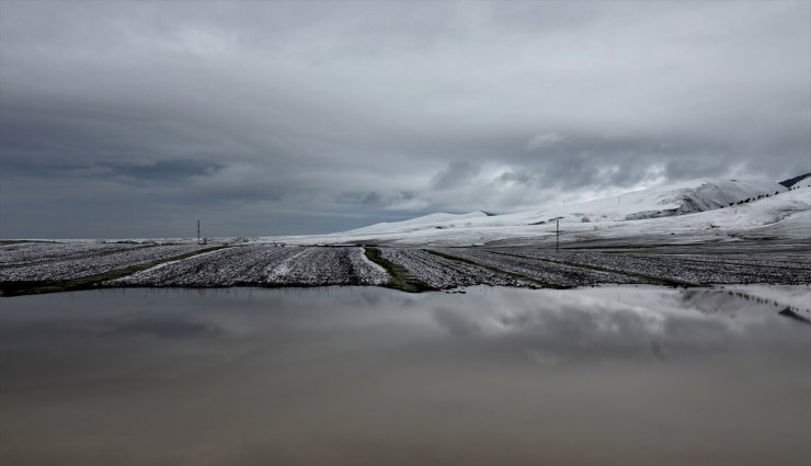 Kars Ve Erzurum Mayıs Ayında Beyaza Büründü