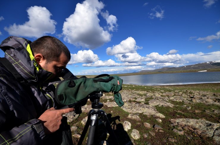 Sarıkamış'ta 'Saklı Cennet': Asboğa Gölü