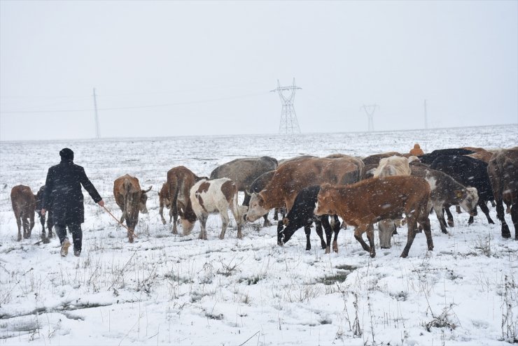 Kar Yağışı Çobanlara Zor Anlar Yaşattı