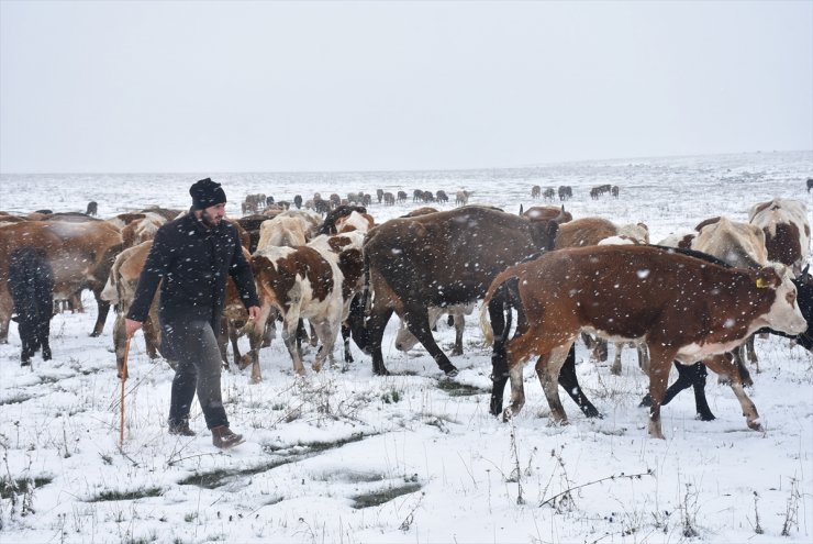 Kar Yağışı Çobanlara Zor Anlar Yaşattı