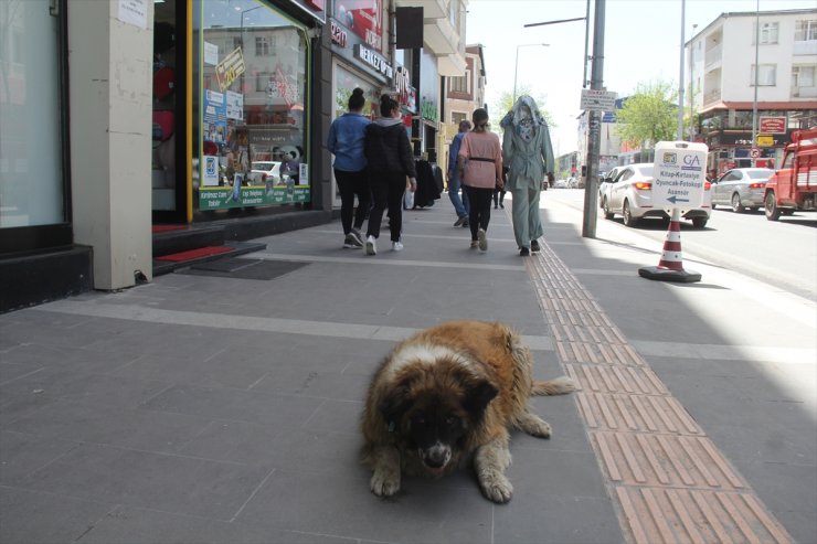 Kars'ta 'Karantina'da Yerleşim Kalmadı