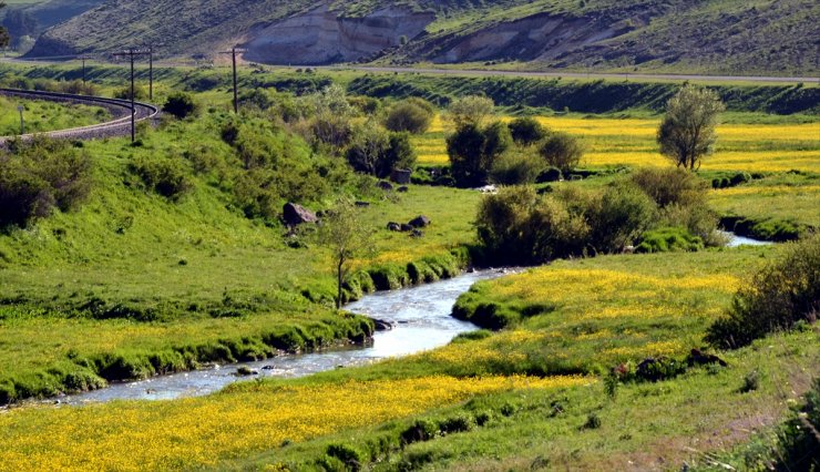 Sarıkamış'ın Doğası Göz Kamaştırıyor