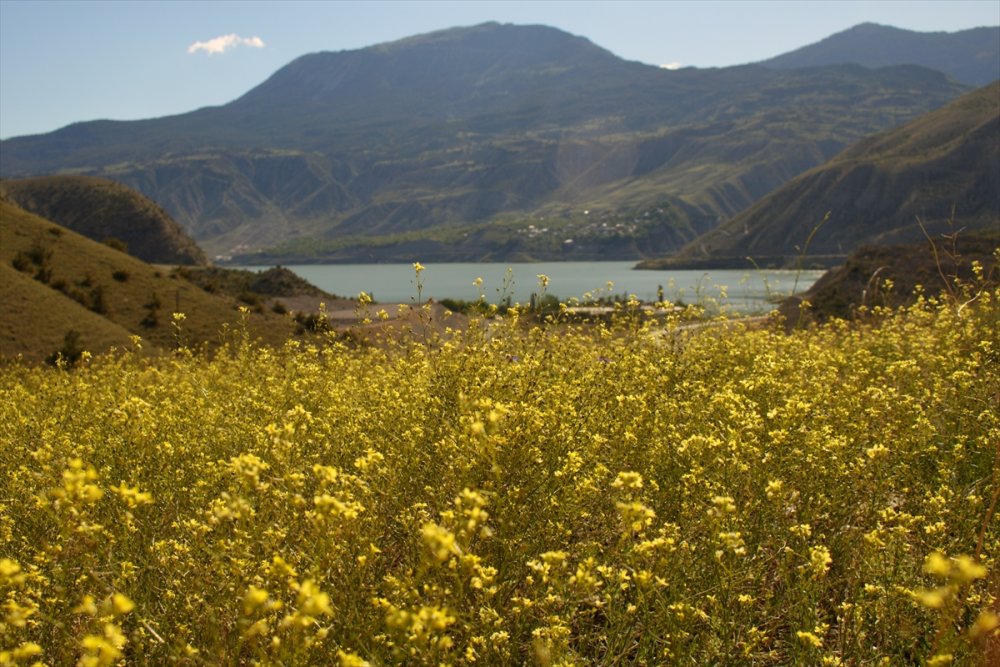 Erzurum | Uzundere'de Alternatif Tatil