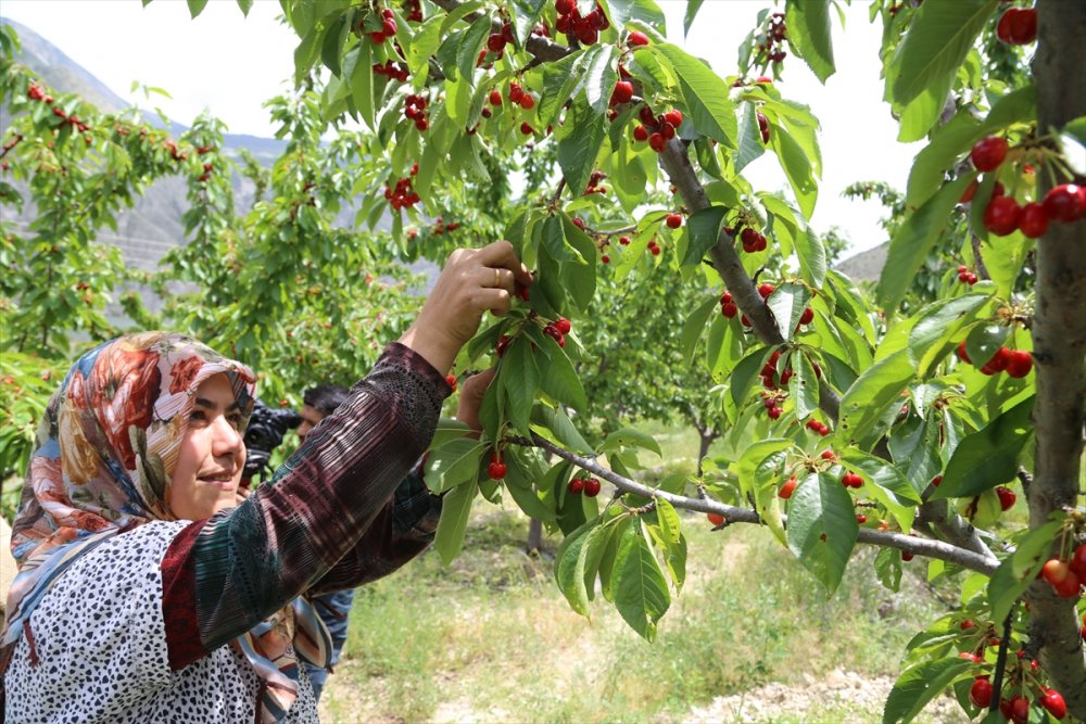 Erzurum | Uzundere'de Alternatif Tatil