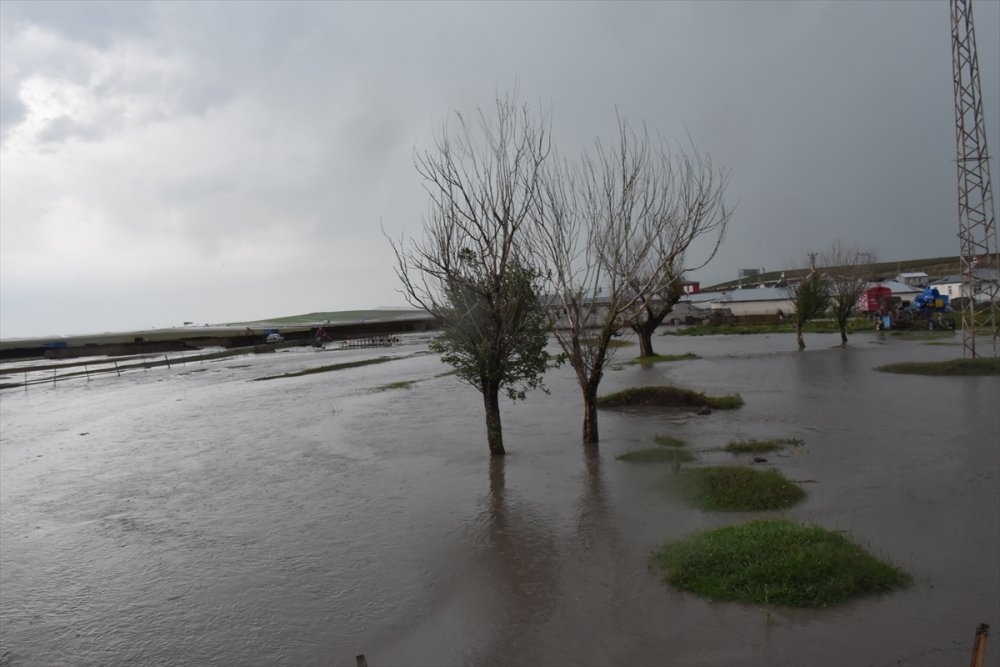 Kars'ta Sağanak Ve Dolu Nedeniyle Evleri Su Bastı