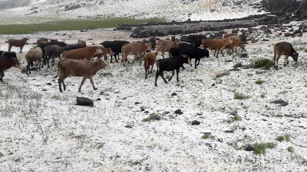 Sağanak Yağış ve Dolu Etkili Oldu