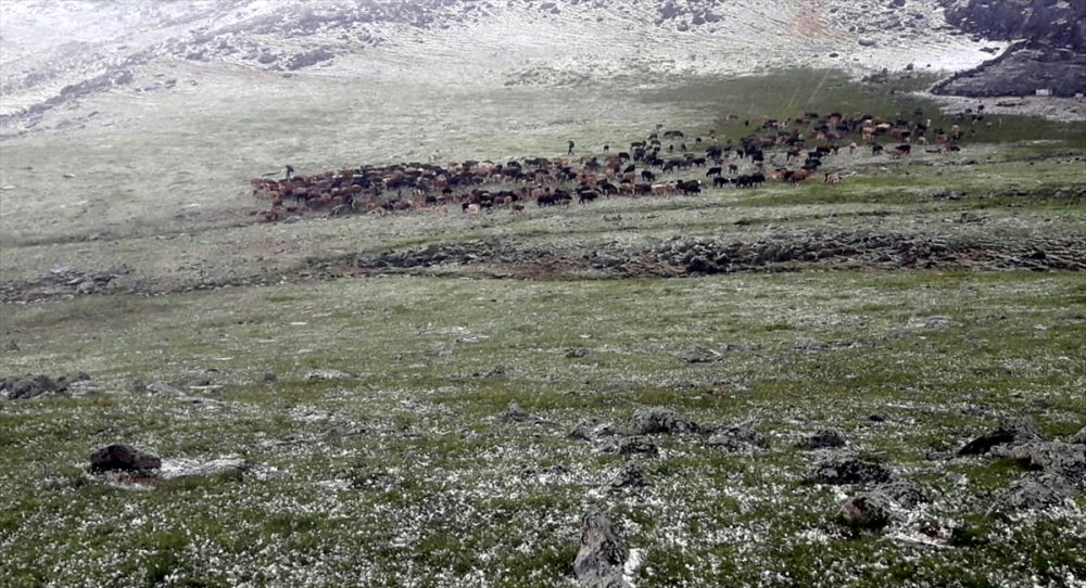 Sağanak Yağış ve Dolu Etkili Oldu