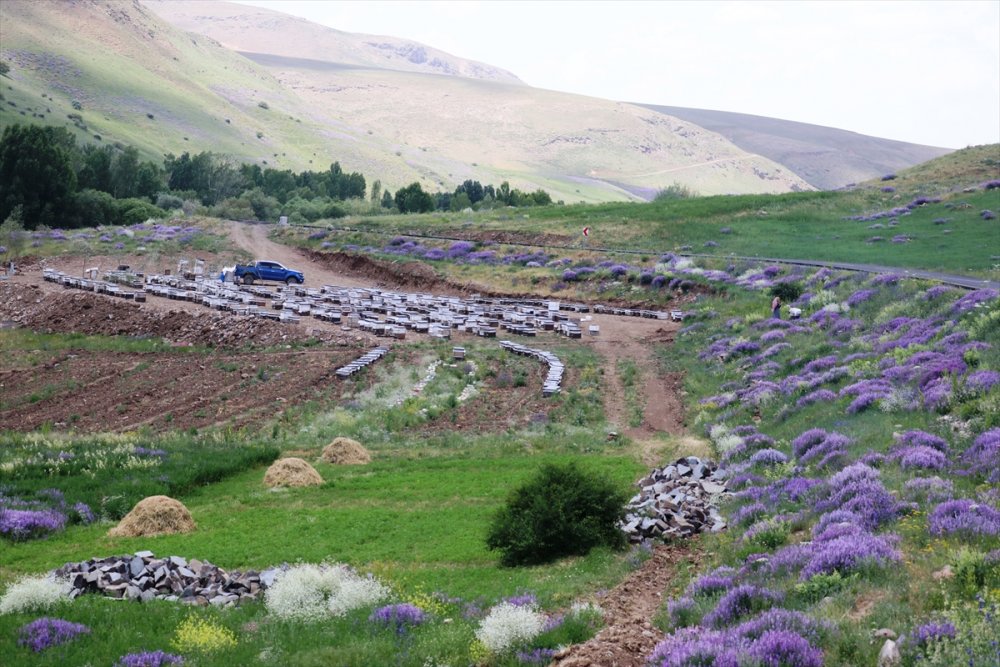 Karadeniz'in Göçer Arıcıları Ağrı'da