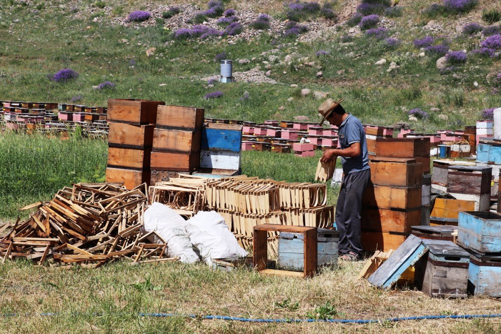 Karadeniz'in Göçer Arıcıları Ağrı'da